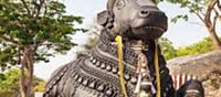 The Significance of Nandi Worship in Shiva Temples